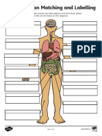 T He 153 Human Organ Matching and Labelling Activity Ver 2