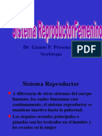 Aparato Genital Femenino