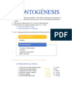 Resumen de Odontogénesis