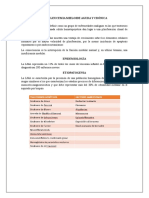 Leucemia Mieloide Aguda y Cronica