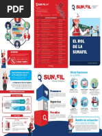 Tríptico - El Rol de La SUNAFIL