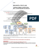 Visión General Sobre La Estructura