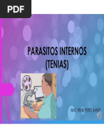 PARASITOS INTERNOS Presentación