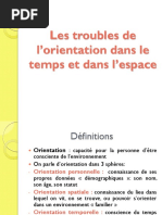 Sémiologie Troubles Orientation Temporospatiale