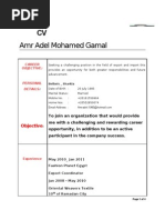 CV Amr Adel Mohamed Gamal: Objective