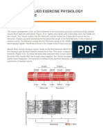 Sarcomere Structure and Contraction