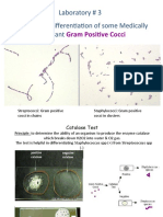 Laboratory # 3 Biochemical Differentiation of Some Medically Important