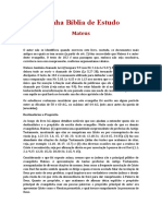 Bíblia de Estudo Thiago Carvalho