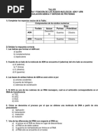 Acidos Nucleicos ADN y ARN