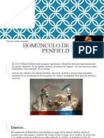 Homúnculo de Penfield