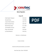 Tarea No.8.1. Análisis y Discusión en Equipo de Caso SVN o Video Del Efecto Pigmaleón