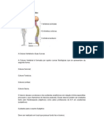 Patologias Associadas