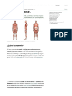 Anatomía - Qué Es, Historia, Ramas, Tipos y Características