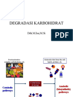 Degradasi Karbohidrat 1