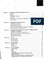 Neuroanatomia Pintar para Aprender