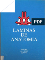 Láminas de Anatomía Del SNC