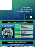 Principios de Rehabilitación Neuropsicológica