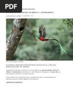 MEDIO AMBIENTE Ave Quetzal