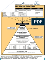 Piramide Judicial