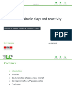 2 LC3 Selection of Suitable Clays and Reactivity