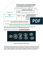 Guia # 3 de Ciencias Naturales Grado 5