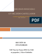 Niif Pymes Sec. 18 y 19