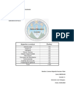 Reporte Practica4