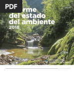 Informe Del Ambiente 2018