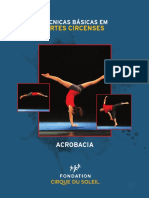 Técnicas Básicas de Acrobacia