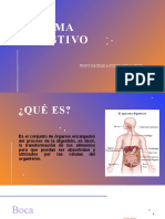 Sistema Digestivo