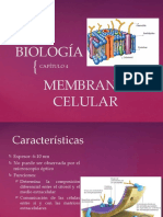 BIOLOGÍA - Cap. 4 Membrana Plasmatica