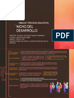 Nicho Del Desarrollo