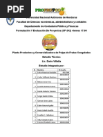 Estudio Tecnico Pulpa de Frutas Congeladas Final 1 (1753)