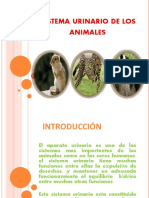 Istema Urinario de Los Animales