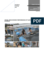 Social and Economic Performance of Tilapia Farming in Egypt