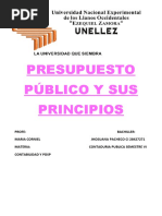 Analisis y Ensayo de Presupuesto Publico