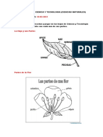 Hoja de Tarea de Ciencia y Tecnologia 10-02-2021