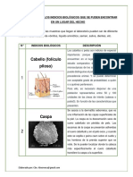 Clasificación de Los Indicios Biológicos - Alesmeva