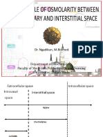 Basic Principle of Osmolarity Between Intra Capillary and Interstitial Space (2021)