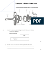 9.2 Water Transport - Exam Questions: Root Hair