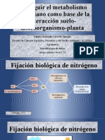 Microbiologia de Suelos - Natalia Laverde - Tarea 2