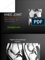 Knee 2