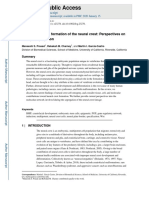 1.embriologia y Genetica Craneofacial.3.