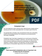 Antagonistic Effects of Selected Endophytic Fungi Against Armillaria Spp. in Vitro