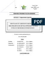 Montage Et Gestion Participative de Projets de Developpement