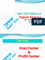 SAP Cost Center - Profit Center