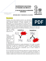 Metabolismo de La Glucosa (Resumen)