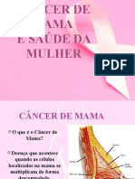 Cancer de Mama Palestra para Comunidade