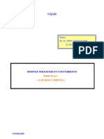 Etude de Cas Lafarge Ciments