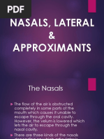 7 - Nasal, Lateral, Approximants